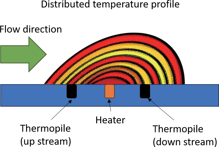 Temperature profile shifted downstream by flow